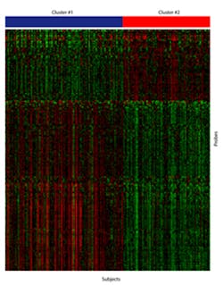 Genetic Signature Fo Genetic Signature Fo