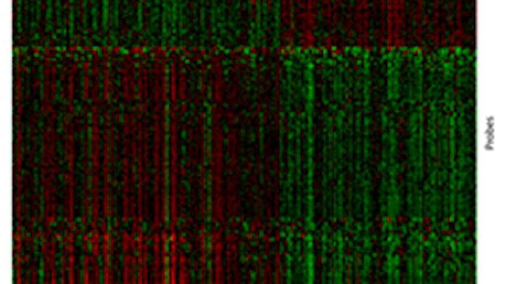 Geneticsignature Copy