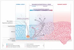 Genticelwebsitetable Genticelwebsitetable