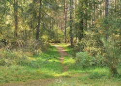 Highland Woods Fo Highland Woods Fo