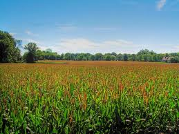 2013 Indiana dental assisting salary survey Dentistry IQ