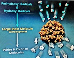 Jan14sadrikorfig10 Jan14sadrikorfig10