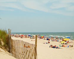 Jersey Shore515 Fo Jersey Shore515 Fo