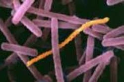 Lactobacillus Fo Lactobacillus Fo