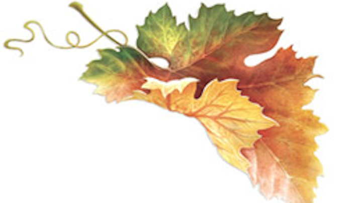 Leaf Fo