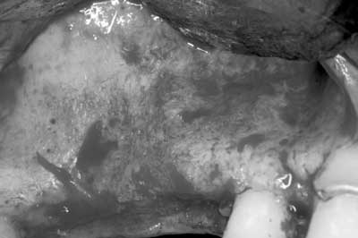 Mar142013srrgeminianifig1