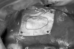 Mar142013srrgeminianifig5 Mar142013srrgeminianifig5