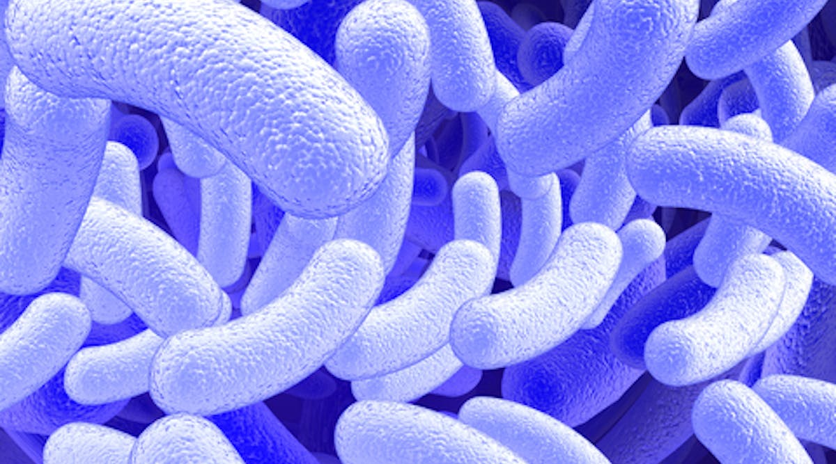 Microbes Dreamstime For Web