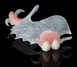 Microdental Visiclear Es Microdental Visiclear Es