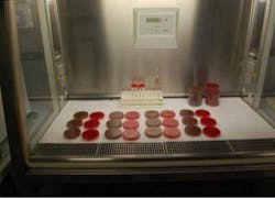 Microorg1 Fo Microorg1 Fo