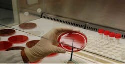 Microorg3 Fo Microorg3 Fo