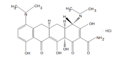 Minocycline Hydrochloride Minocycline Hydrochloride