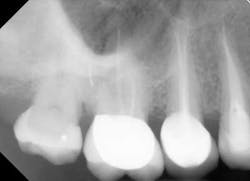 Mounceknowfig3b Mounceknowfig3b