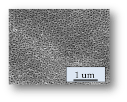 Nasseo 1um Rev Nasseo 1um Rev