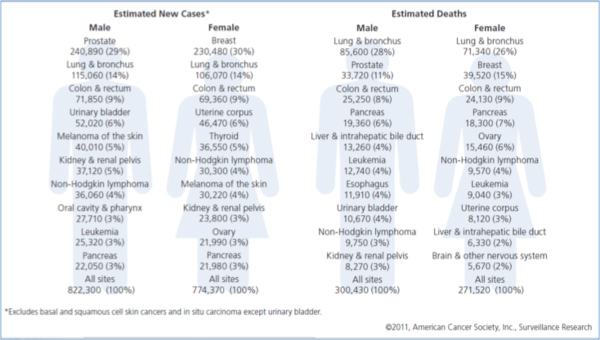 New Cases Deaths600 Fo