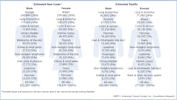 New Cases Deaths600 Fo New Cases Deaths600 Fo