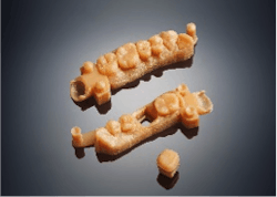 Objet30 Dentalprime Models Objet30 Dentalprime Models