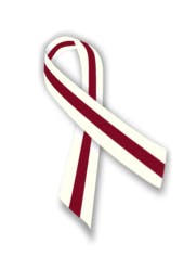 Oral Cancer Oral Cancer