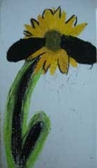 Pennwell web 139 240 Pennwell web 139 240