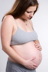 Pennwell web 168 250