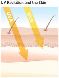 Pennwell web 207 275 Pennwell web 207 275