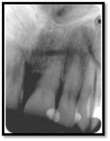 Pennwell web 219 280 Pennwell web 219 280