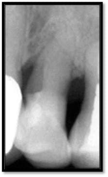 Pennwell web 223 365 Pennwell web 223 365