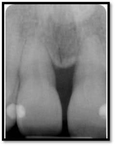 Pennwell web 238 300 Pennwell web 238 300