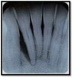 Pennwell web 290 310 Pennwell web 290 310