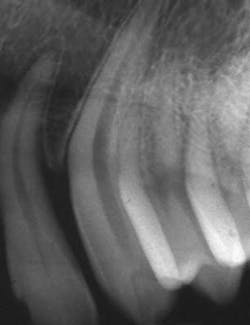 Pennwell web 308 400 Pennwell web 308 400