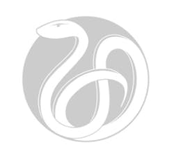 Pennwell web 325 284 Pennwell web 325 284