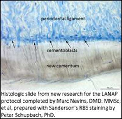 Pennwell web 400 390