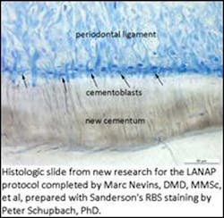 Pennwell web 400 390 Pennwell web 400 390