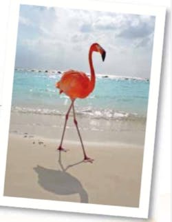 Pennwell web 409 525 Pennwell web 409 525