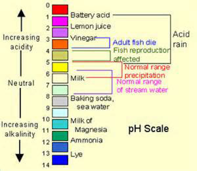 Cheese may prevent cavities DentistryIQ