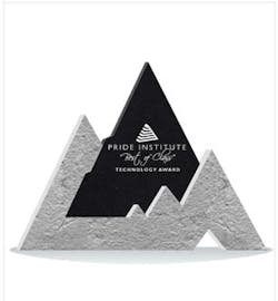 Pride Award Pride Award