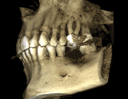 Promax 3d Max Fullimage9