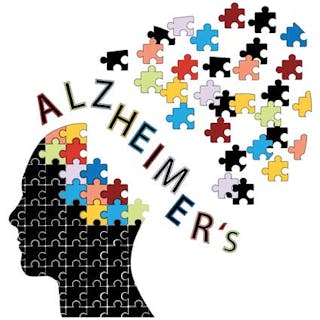 Puzzle Alzheimers Fo