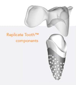 Repicate Tooth Image Copy Repicate Tooth Image Copy