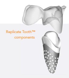 Repicate Tooth Image Copy