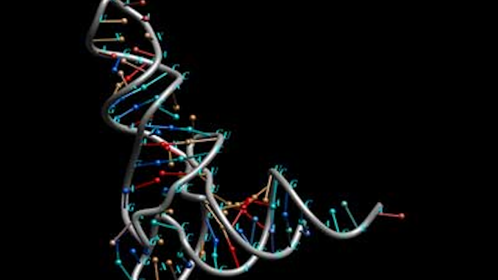 Rna Dreamstime