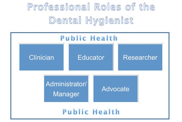 Roles Of Hygienist Fo
