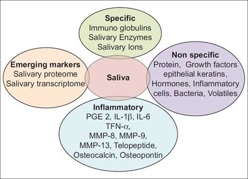 Salivary Biomarkers Fo