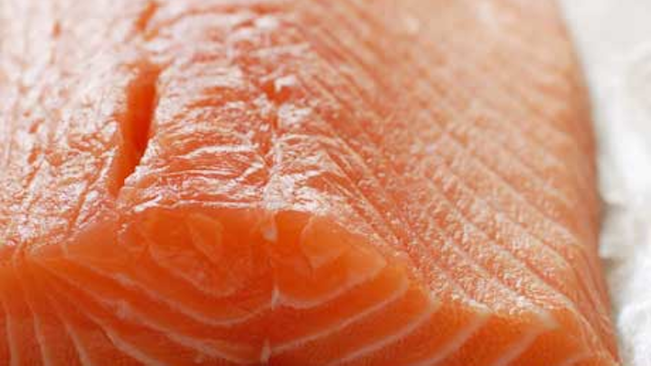 Salmon Fo