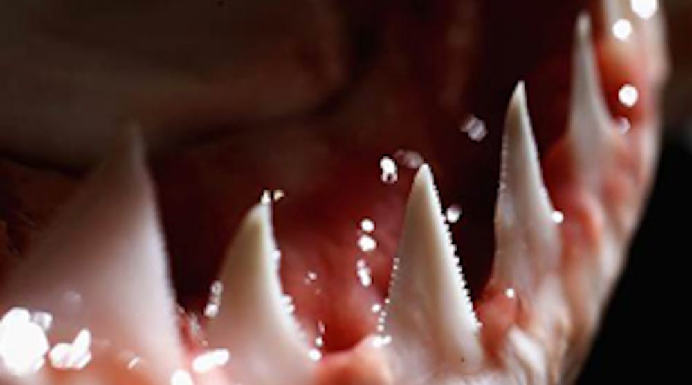 Shark Teeth Es