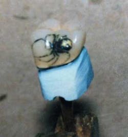 Spider Tooth Tattoo Spider Tooth Tattoo