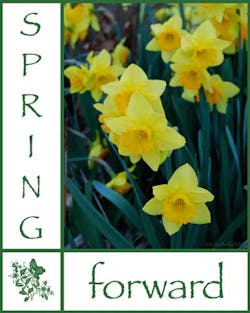 Spring Forward Fo Spring Forward Fo