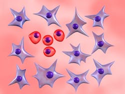 Stem Cells Dreamstime Xs 9051533 Stem Cells Dreamstime Xs 9051533