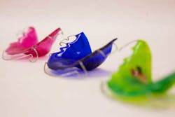 Sunidentallabs Ortho1 Sunidentallabs Ortho1