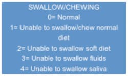 Swallow Fo